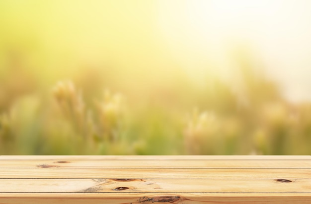 Empty wooden table for product placement or montage with focus to the table top nature background