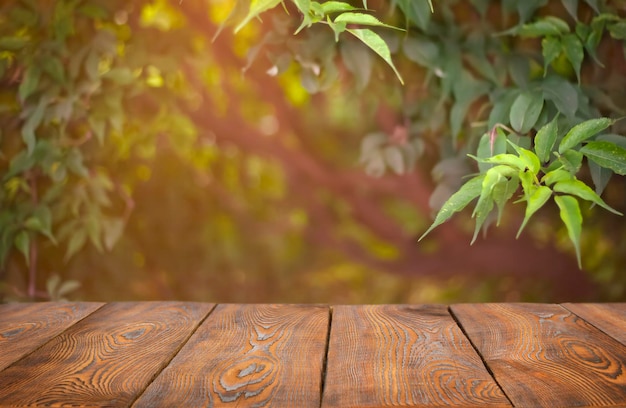 Tavolo in legno vuoto con spazio per la copia sullo sfondo dei rami degli alberi.