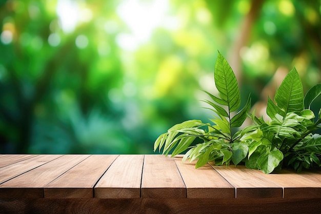 Empty wooden table with defocused forest background