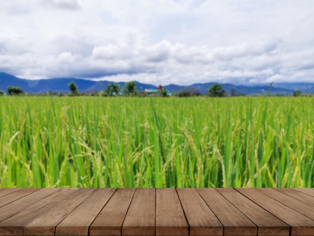 Empty wooden table with fields and cloudy skyxA