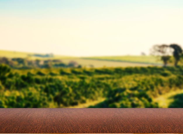 Photo empty wooden table with view of coffee plantation or wooden desk with farm bokeh background space for text