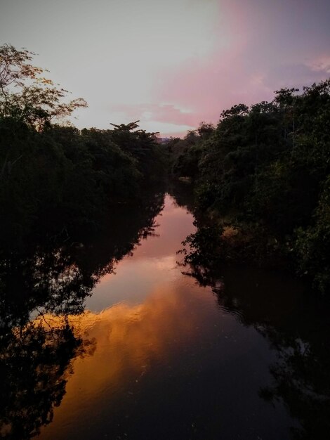 Foto en bomen bij zonsondergang