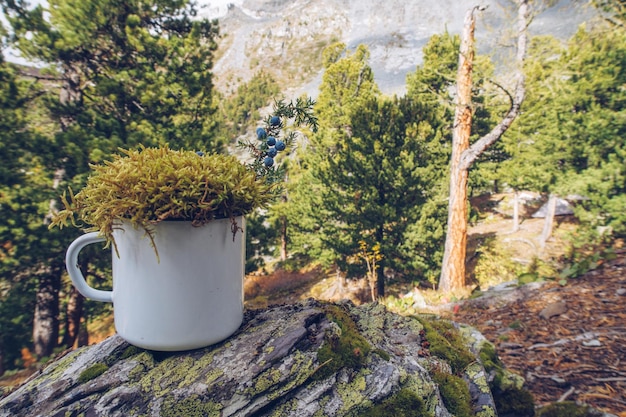 Enamel white mug with the forest background and moss mockup Trekking merchandise and camping gear marketing photo Stock wildwood photo with white metal cup Rustic scene product mock up template