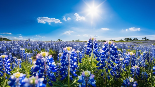 Enchanting bluebonnets painting