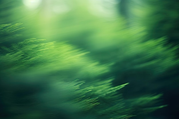 Enchanting green nature through abstract blurred photography