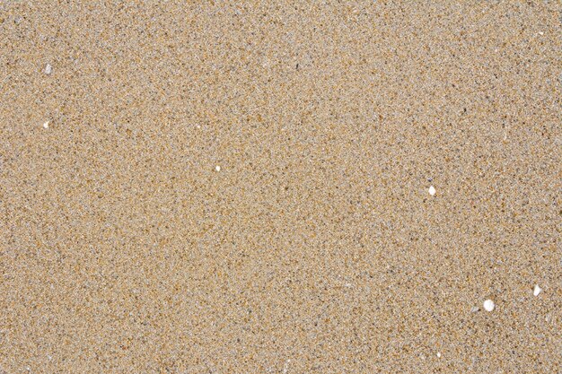 Enchanting Sand Background with Captivating Motif