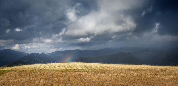 End of the rainbow, landscape panorama with dramatic sky. Thunderstorm clouds over leafless vineyard in early spring and tiny piece of rainbow, with distant mountains on background