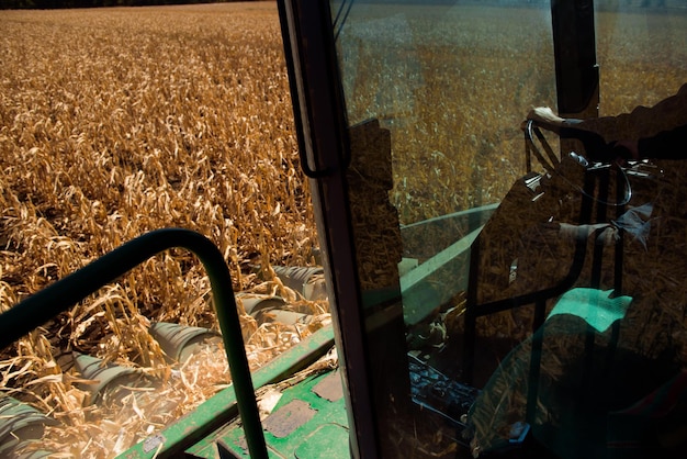 End of the summer corn harvesting started