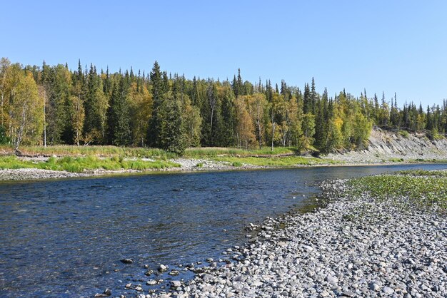 The end of summer on the river of the Subpolar Urals