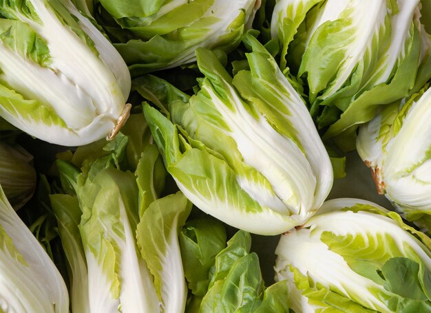 endive top view