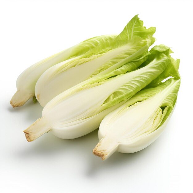 Endive with white background high quality ultra hd