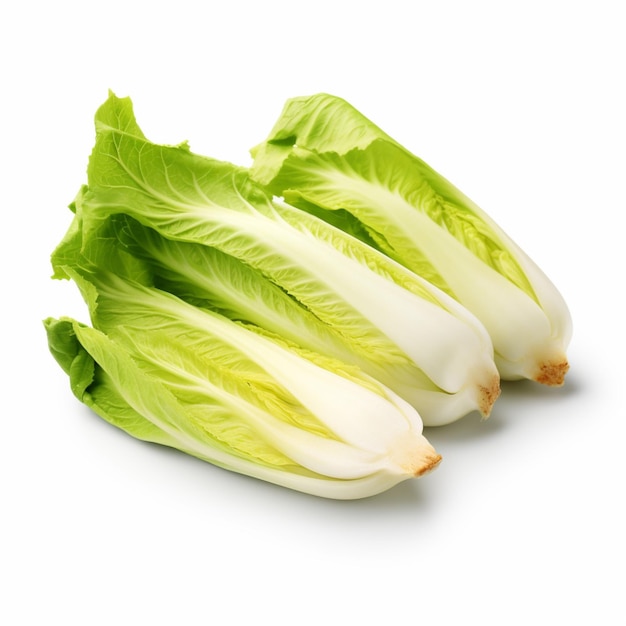 Photo endive with white background high quality ultra hd