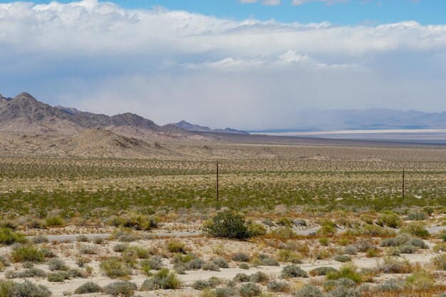 Endless desert in Mohave County Arizona United States USA