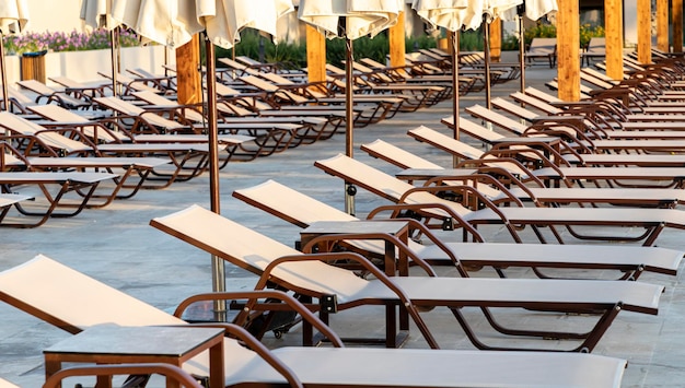 Endless row of sun loungers for sunbathing