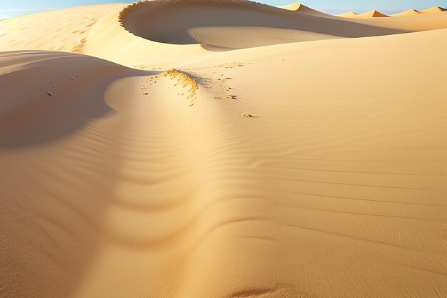 The endless sands of the dune