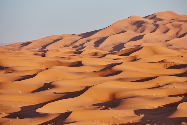 Le infinite sabbie del deserto del sahara. bel tramonto sulle dune di sabbia del deserto del sahara marocco africa