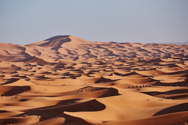 사하라 사막의 끝없는 모래. 사하라 사막 모로코 아프리카의 모래 언덕 위에 아름다운 일몰