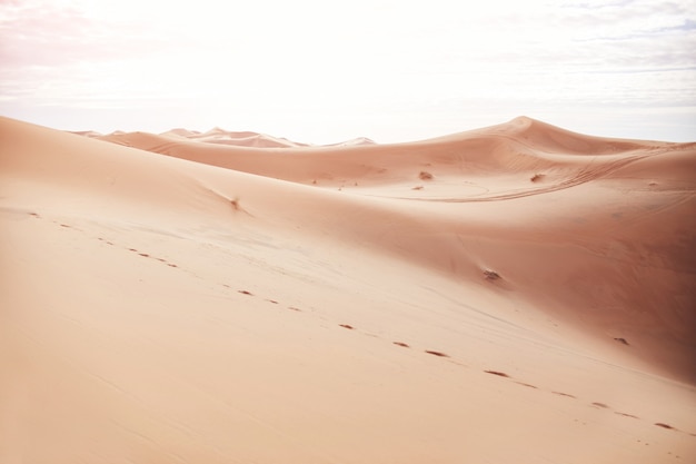 Infinite sabbie del deserto del sahara, il caldo sole cocente brilla sulle dune di sabbia. marocco merzouga