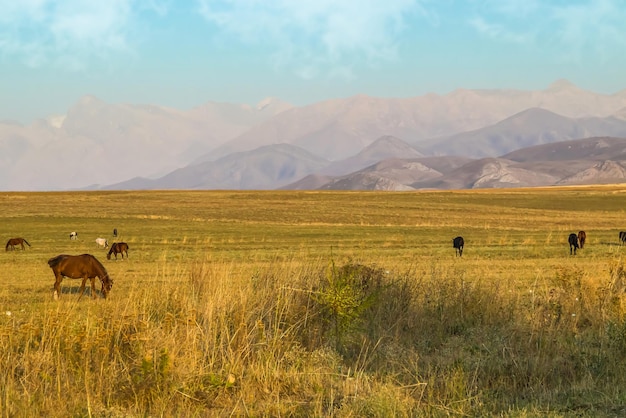 カザフスタンの山麓に広がる果てしない草原風景