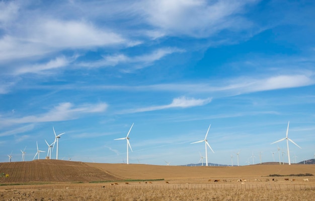 Energie en ecologie, windturbines, Eolic park. Groene ecologische energie opwekking. Windpark e