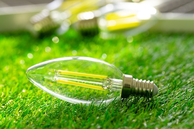 Energiezuinige gloeilamp die op gras ligt
