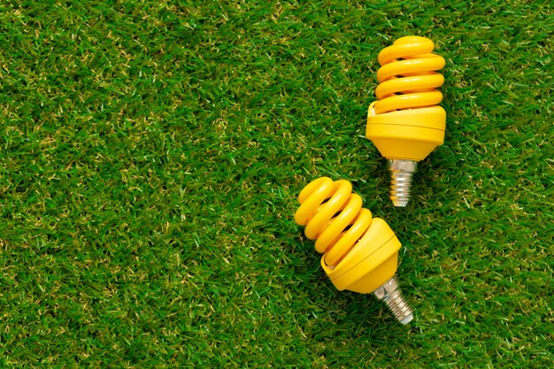 草の上に横たわるエネルギー効率の高い電球