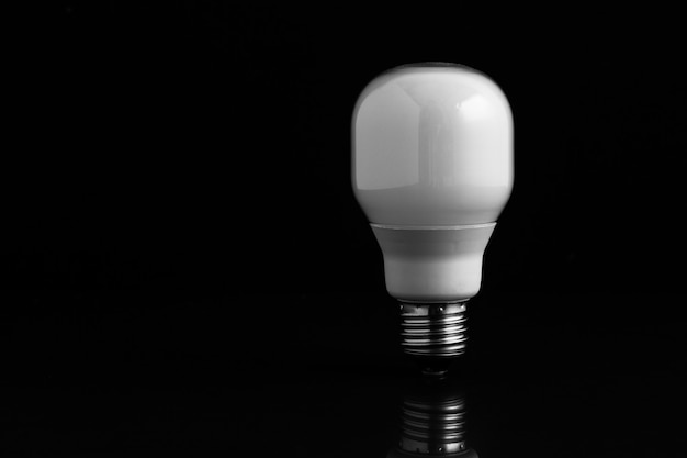 Energy saving bulb standing on black background