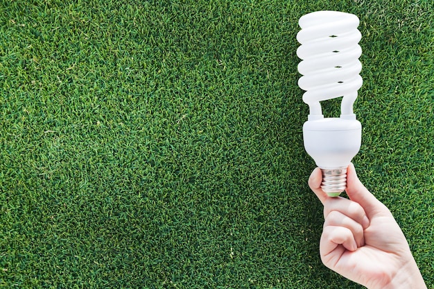 Energy saving concept Woman hand holding light bulb on grass backgroundIdeas light bulb in the hand