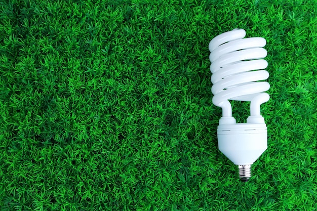 Photo energy saving light bulb on green grass background
