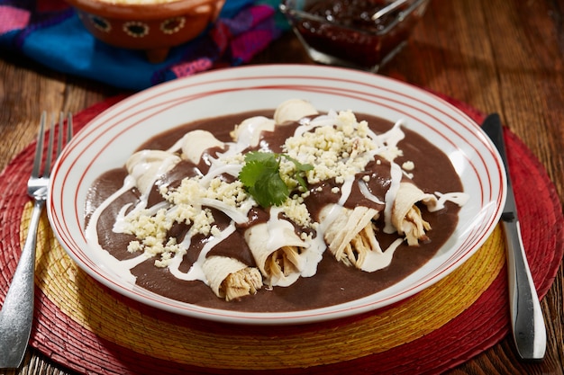 Enfrijoladas con pollo crema y queso Comida tipica mexicana