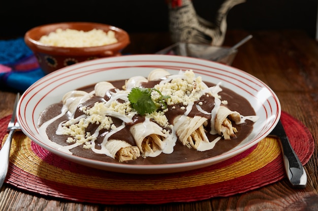 Enfrijoladas con pollo crema y queso Comida tipica mexicana