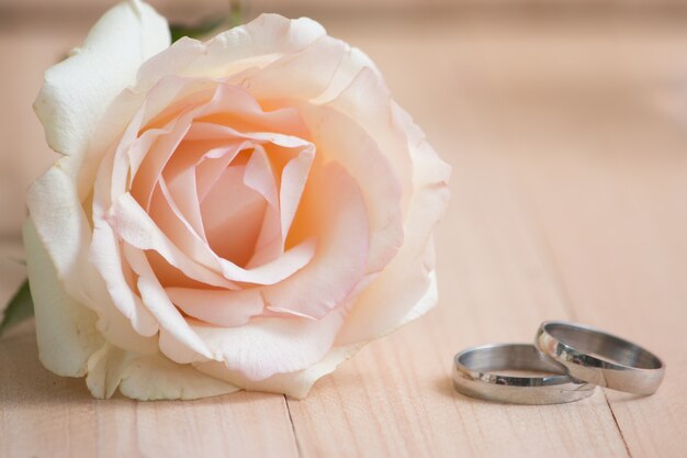 включите кольцо, поставленное рядом с пастельной розовой розой. Концепция дня Святого Валентина