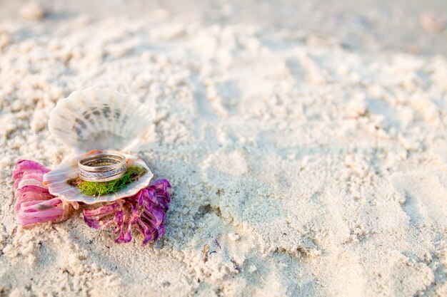 Engagement ring in open seashell on the ocean beach