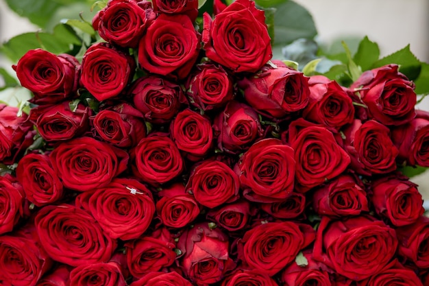 Engagement ring in red roses , gold ring with diamond.