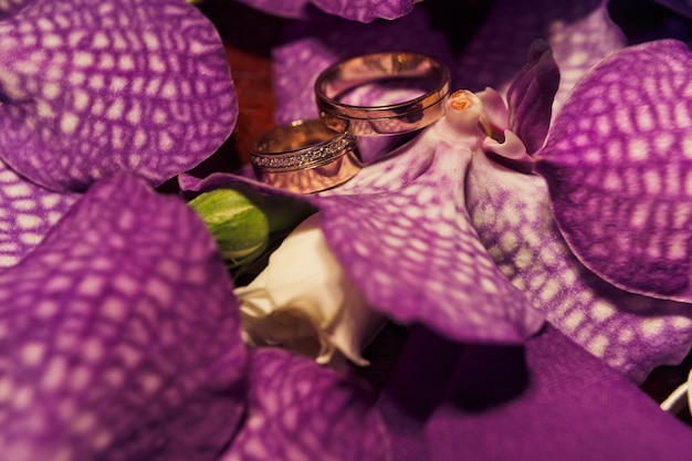 Engagement rings between flowers