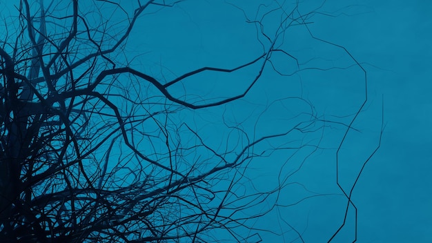 Enge bomen 's nachts in de buurt van bosweg Mystiek griezelig boslandschap in mist maanlicht 3d render