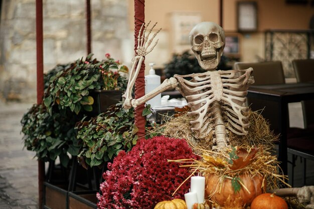 Enge skelet pompoenen herfst bloemen hooibergen in straat Halloween decor Happy halloween