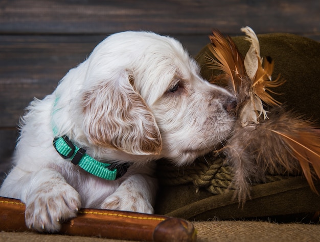 Engelse setter puppy hondje met mes en eend