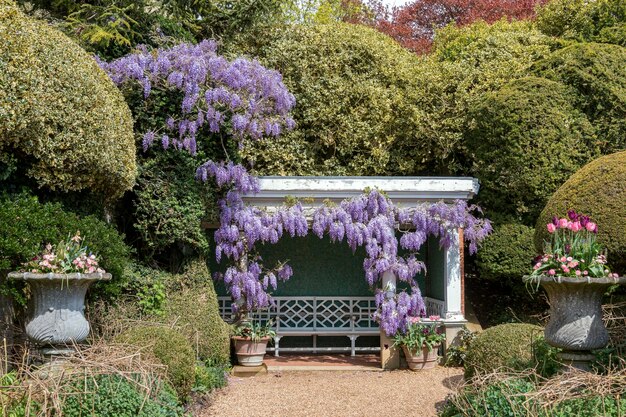 england_parks_wisteria_tulips_ascott_house_gardens エウロパ