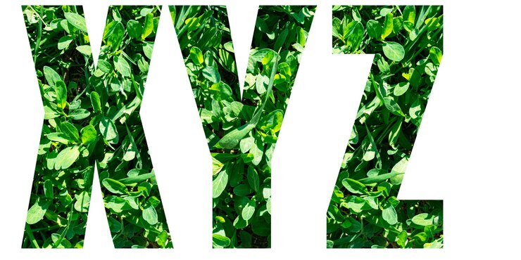 Photo english alphabet letters set. letters x y z from green grass isolated on white background. elements for your design.