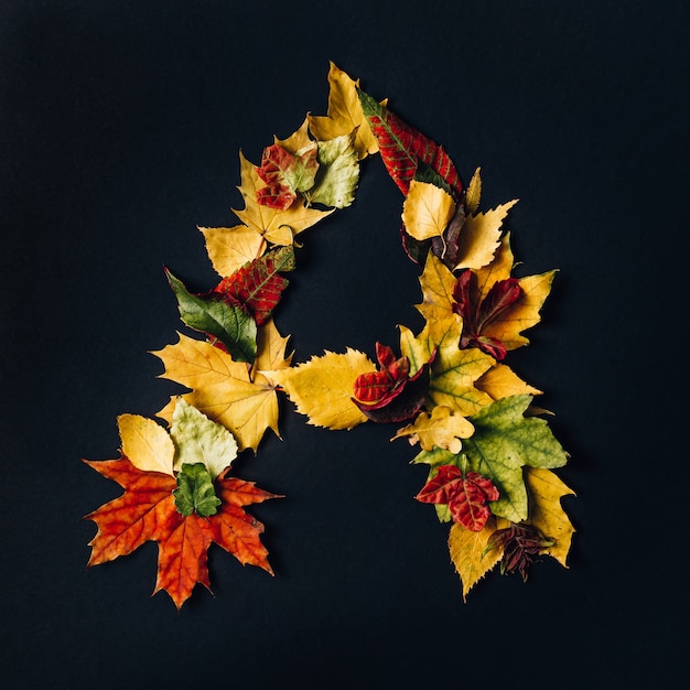 English alphabet made by autumn leaves. Natural colors Font for design. letter A on black background. Top view. Copy space. Flat lay