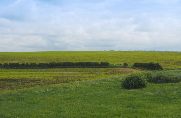 イギリスの田舎の風景