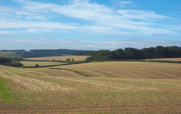 English country panorama in Salisbury