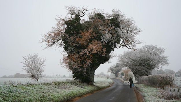 English Countryside Photo