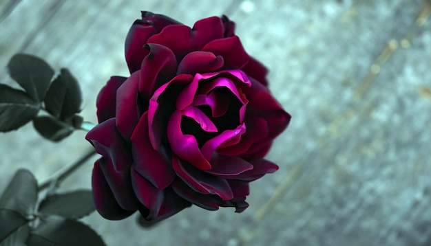Enigmatic Elegance Free Photo of a Black Rose Embrace the Mysterious Beauty of Nature's Rare Bloom