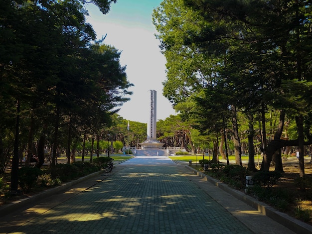 Enjoy a beautiful view of the nature forest in Hwangseong Park in Gyeongju South Korea