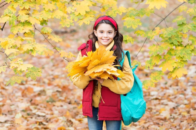 Enjoying autumn day child walk in autumn forest or park fall seasonal weather childhood happiness beauty and nature happy kid gather yellow maple leaves teen girl on way to school