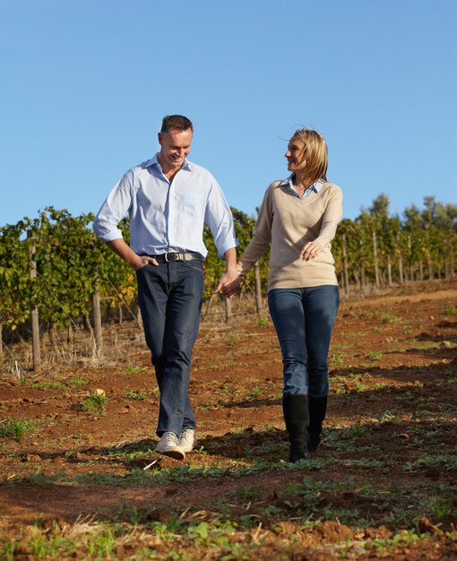 Enjoying a stroll through the vineyards A mature wine maker and his wife taking a stroll through the vineyard