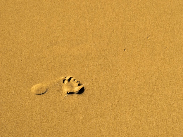 Enkele voetafdruk op het zand geïsoleerd object voor zomervakantie vakantie reizen foto man of vrouw voet op het zandstrand in de zomer