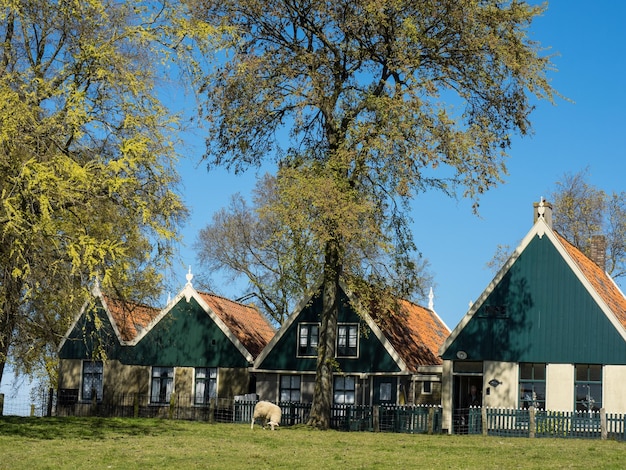 Foto enkhuizen in nederland